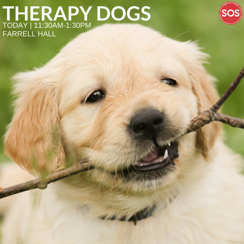 WFUThrive's tweet image. Signs of Stress continues today with puppies and free mental health screenings! #wfuthrive #signsofstress