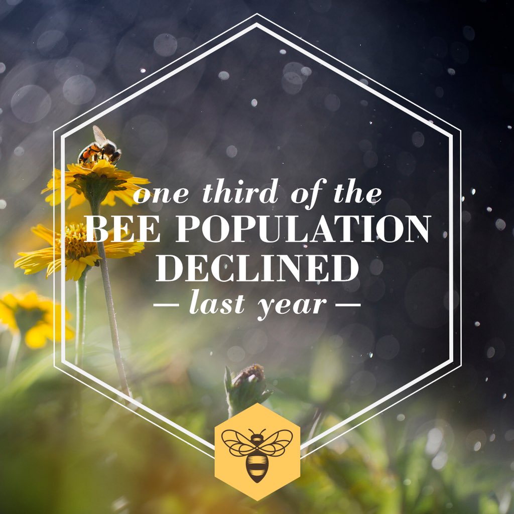 BurtsBees's tweet photo. Can you believe it? That makes up one third of the food we eat! So, weโve teamed up with @RAFIUSA to plant over 15 billion (and counting!) flower seeds in our home state of North Carolina. See how you can get involved: https://t.co/59jZYjXsme #WildForBees #TrueForceofNature https://t.co/pTyTc9rrAb