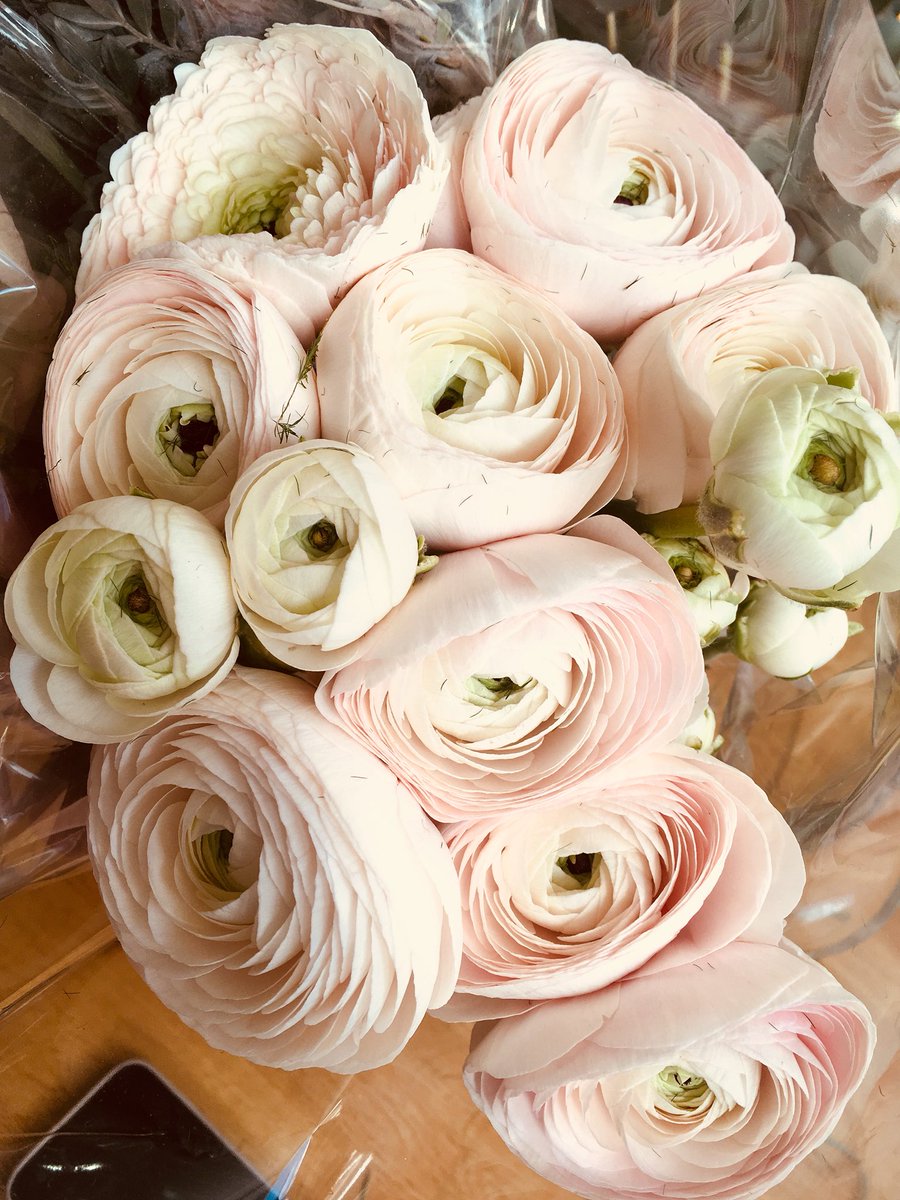 JevsJevsJevs's tweet photo. Getting ready for our #sparkcreatereact #seminars tomorrow and Wednesday. #inhouseflorist @DragonRougeUK https://t.co/8gw1dEJQTf