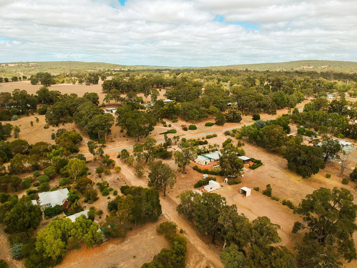 cutsfromlloyd's tweet photo. Did a shoot up in the hills - Bakers Hill, Western Australia #LJS16 https://t.co/NXeM20eU6S