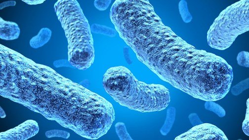 Ligt de sleutel tot minder ziekteverzuim bij een #griepepidemie in handen van schoonmaakbedrijven? Een ronde langs de velden bij #Gom: bit.ly/2G4WxNP