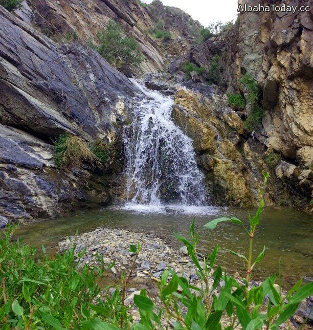 120fhad120's tweet photo. #زهران 

صور من زهران 
الطبيعه والجمال https://t.co/cr2xYjoIVy