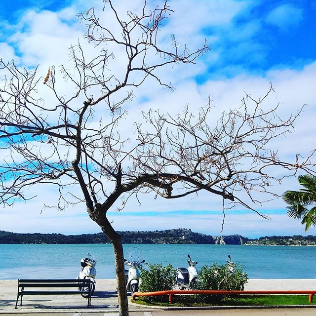 NicoJGenes's tweet photo. Everyone has a place that makes him/her feel complete. This is mine. Did you find yours? ❤️ #tuesdaymorning #thoughts #sea #sun #quiteness💕 #myplace #Sibenik #Croaria #placesofinspiration #hereiwrotemybooks #love #loveislove #loveshouldnthurt #lovesh… https://t.co/HEoz3K9pwr https://t.co/K4zAsYonOd