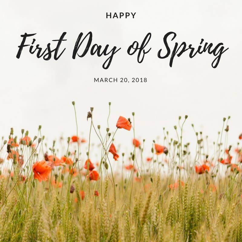 Eden City Living (@edencityliving) on Twitter photo 