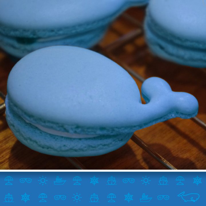 MobyLines tweet media