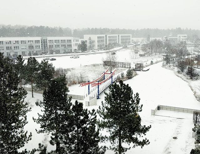 vudin's tweet photo. Welcome Spring! #march20 #spring #snow #dreilinden https://t.co/zId2HHwiXn https://t.co/BwDB6iRjnb