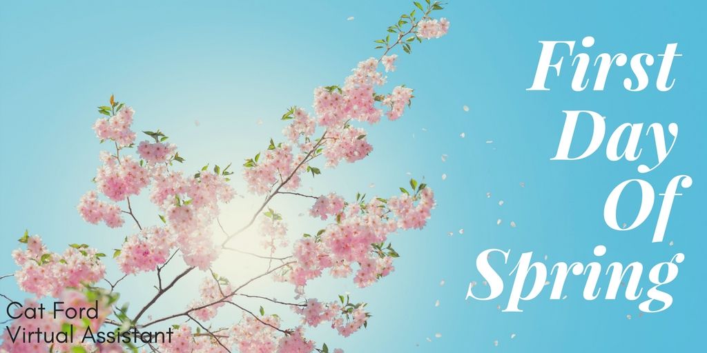 CatFordVA's tweet photo. Yay! It's officially the first day of spring! How shall we celebrate? https://t.co/EIrLhl4Hsa