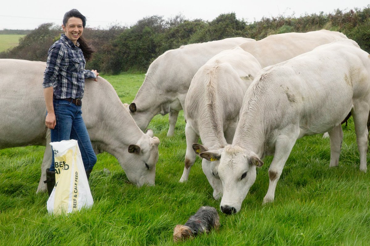 DunstanFarming's tweet photo. My name is Jenny Dunstan, I farm in Cornwall. My husband &amp; I produce nutritious #beef, malting #barley for beer, milling #oats for breakfast cereals and #OSR. We are @RedTractorFood assured. #BritishFoodisGreat @LoveBritishFood @NFUtweets #Food #Farming 476,000 #PeopleInFarming https://t.co/MJEBO1ZRav