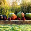 porter_dodson's tweet photo. We enjoyed a fantastic lunch at @SculptureLakes yesterday, with catering by @TheTickledPig1 - the 'fruit' desert perfectly mimicked one of @SimonGudgeon pieces that we had admired earlier in the day! https://t.co/iOqC4aWuOb