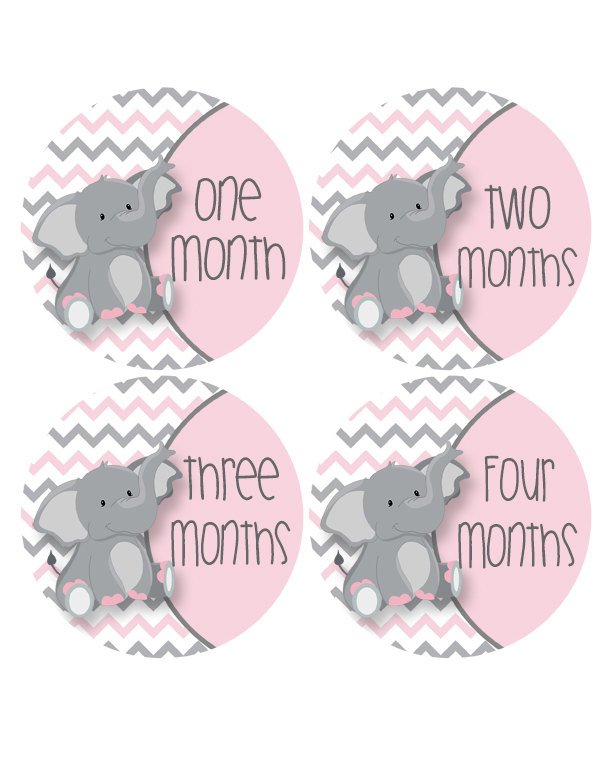 moonlitprints's tweet photo. FREE GIFT, Baby Girl Month Stickers, Elephant Baby Stickers, Monthly Baby Stickers, Milestone Stickers, Elephant Stickers, Zoo Nursery #542P https://t.co/3caAiugHrc #MoonLitPrintables #Etsy #BabyPhotoProps https://t.co/jkHP4ElCuD