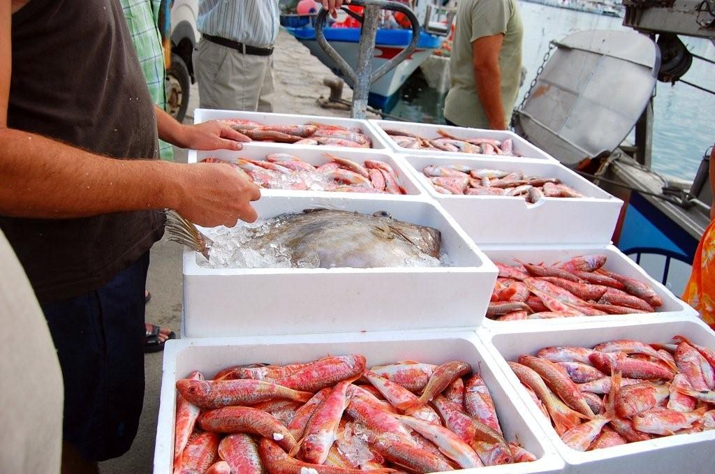 gremipeixaters's tweet photo. Quatre normes bàsiques per reconèixer el peix fresc 💡

· La pell ha de tenir un color viu 
· Els ulls brillants 👀
· Les brànquies vermelles 
· L'olor i la fermesa 🐟

Continua llegint al següent article: https://t.co/noZ0mpBmAe https://t.co/gY2D4Lx2GG