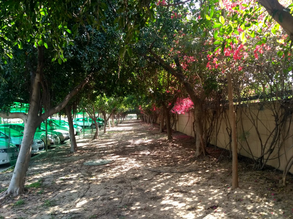 Rajneeshth85's tweet photo. #HappinessatISB is colourful life. https://t.co/EhuUqcBltq