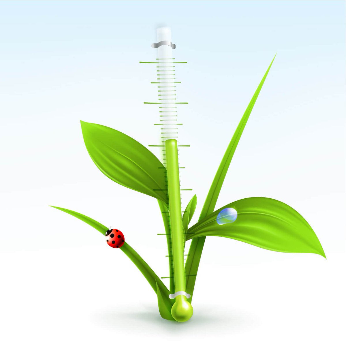 The equinox of Spring will be held today, Tuesday March 20, at 11:15 am.