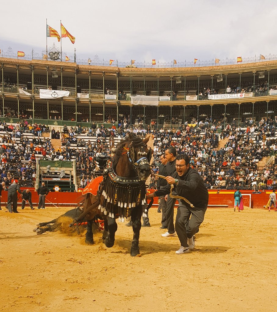 VALENCIATAURINA's tweet photo. Tira, tira, tira, que el #PostFallas cuesta mucho. 🤘🏼

#CulturaDeBou #tauromaquia #sialostoros #arte #fotografiataurina #torossi #soytaurino #toros #TradicionesTaurinas #detallestaurinos #PlazasDeLaTerreta #ValenciaEsTaurina #Temporada2018 #FeriaDeFallas https://t.co/HvN8GwPOy5