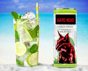 _Gato_Rojo_'s tweet photo. Guys, we have a result! Lime and Mint the taste which you choose! Enjoy summer with Gato Rojo! Thanks everybody for your participation!😊🤗🥃#GatoRojoSummer https://t.co/7pmw0xnsCc