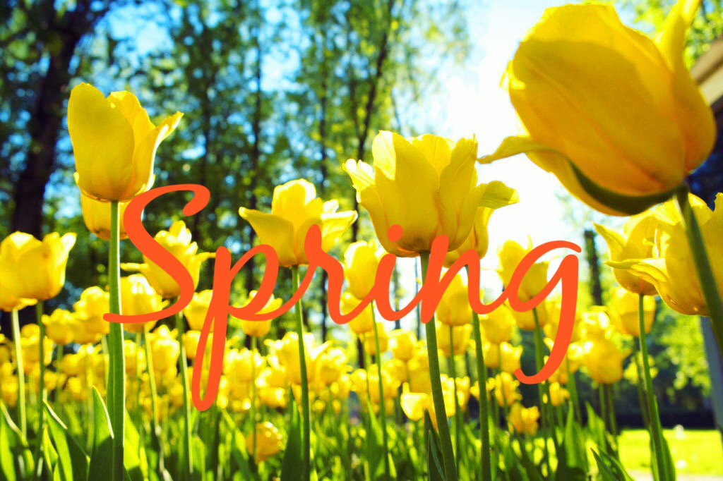 Spring is in the air! Not only is it the first day of #SpringEquinox it's also #InternationalHappinessDay . #alnwick #springtime #keepsmiling #spreadthehappiness #classiclodges #northumberland