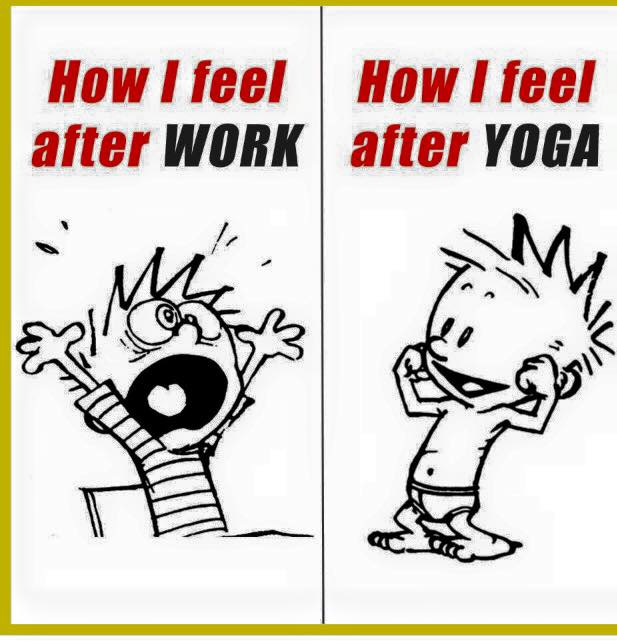kirstygjackson's tweet photo. It's so true. #Yoga really does make you feel #amazing! I'm really looking forward to seeing you in class this Wednesday evening 7-8.30pm #Overleigh St Mary's School Hall, #Handbridge, #Chester #Cheshire CH4 7HS. Have a great day!
#asana #meditation #breathwork #relaxation https://t.co/erdUBQfrDu