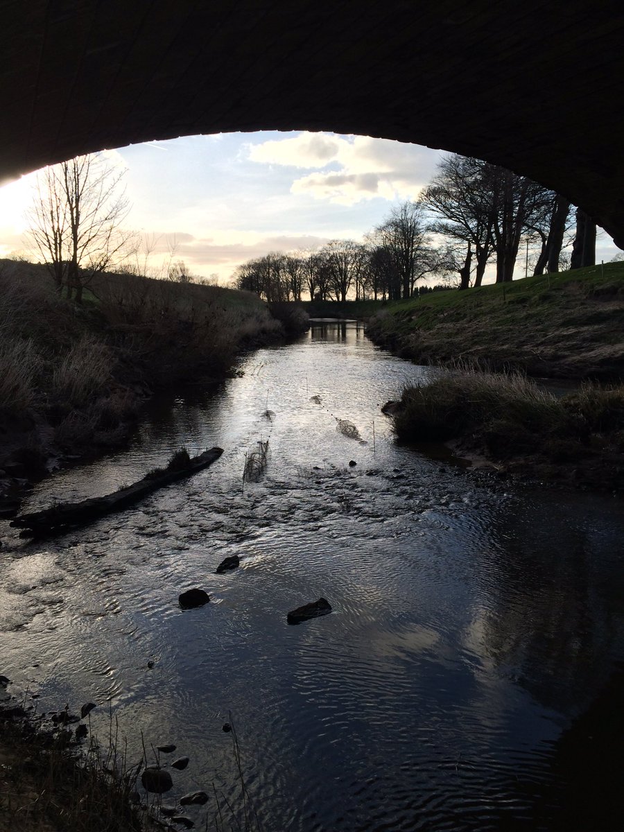 TM_WRT's tweet photo. Finally something of note from our Fyke nets, not the intended quarry but 7 species including salmon and sea trout smolt, chub, eel, flounder, roach and stickleback. Nets out all week in the hope that large Spring tides bring smelt with them. #SearchForSmelt https://t.co/XFkOE2VCHf
