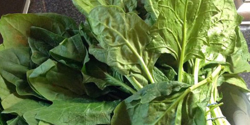 Mercatdissabte's tweet photo. Avui nou productes a la web: l’espinac 🌱
▶️ https://t.co/Zxu0PbIynR
#mercatdeldissabte #espinac https://t.co/puQd4wPKUJ