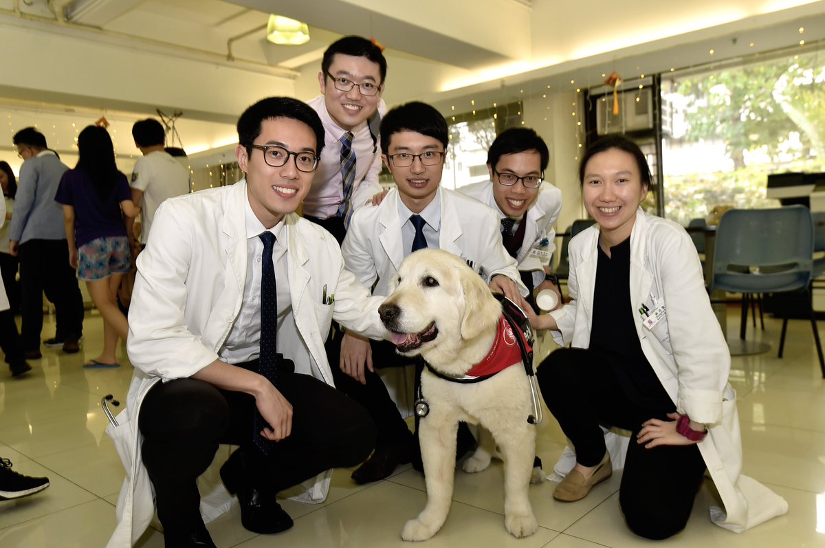 CUHKMedicine's tweet photo. Dr Dogs visit Madam S.H. Ho Hostel for Medical Students to #cheer up our medical students on the exam day!
@AnimalsAsia #PuppyTherapy #AMSAHK https://t.co/vZk96g3kXY