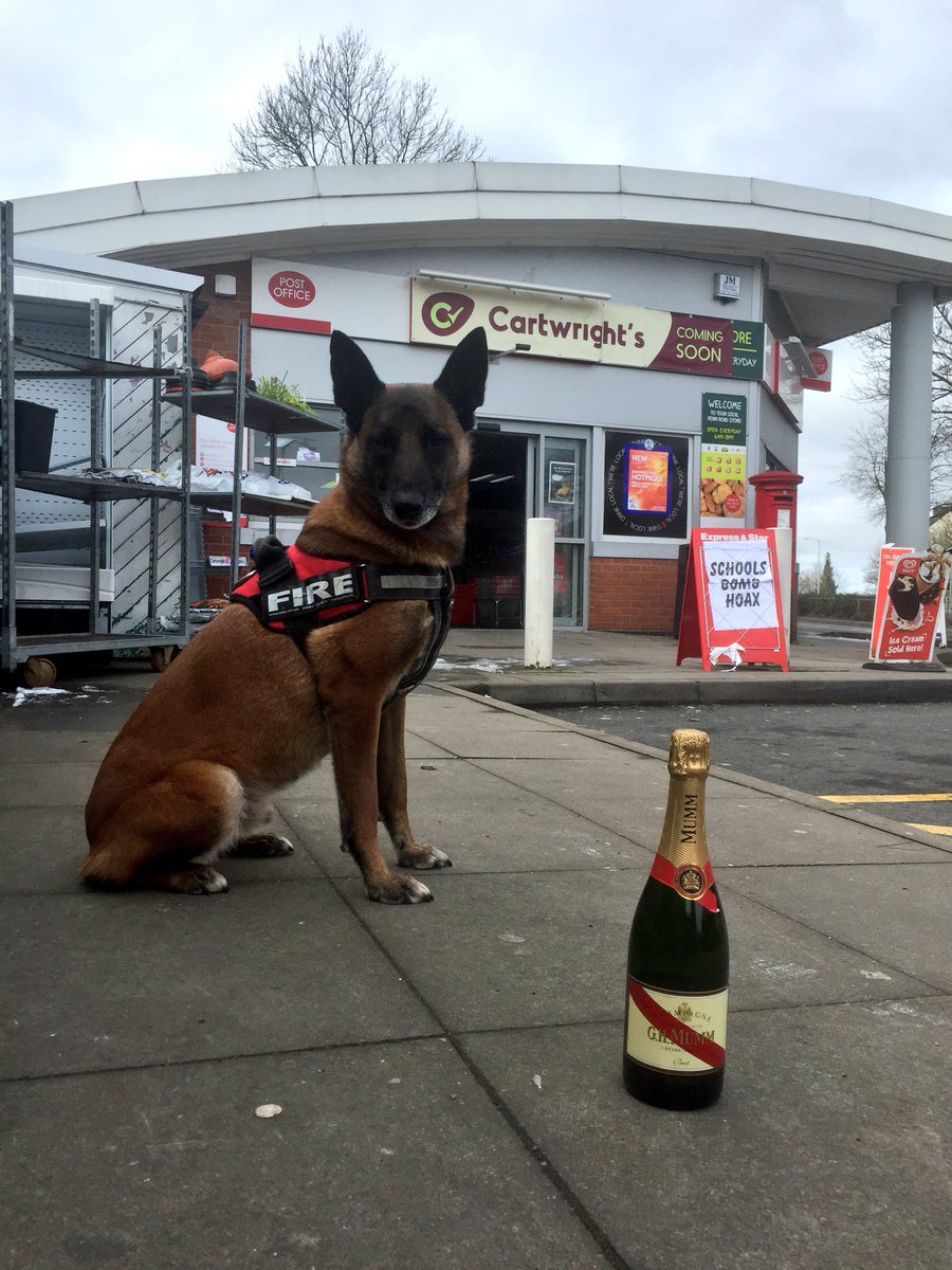 KnotweedDogs's tweet photo. Massive thanks to Rich Cartwright of #Cartright’s convenience store, Penn Road, for your donation of a bottle of Champagne to help with our @LondonMarathon fundraising for @actionheartruns @VMGiving https://t.co/nNwtxowm0j https://t.co/YnxoF4l2wV