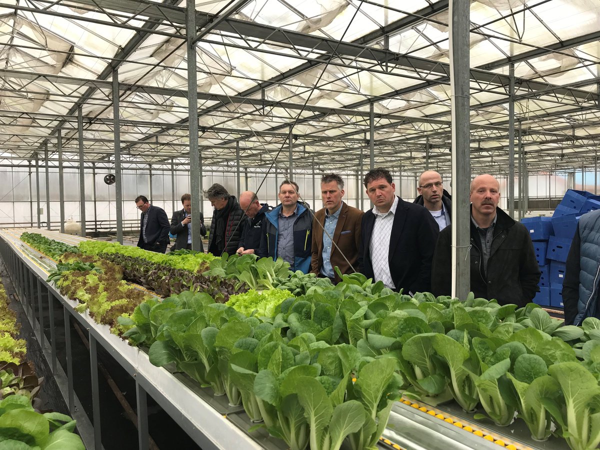 LNVShanghai's tweet photo. Visit to Shanghai Sunqiao Modern AgricultureCo. with Drenthe delegation this afternoon- Dutch glasshouse, MoA Food Testing Center, Hydroponic cultivation and Plant Phenotype Breeding Co. https://t.co/cbCfCRhgcV