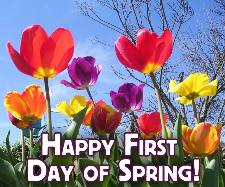 Welcome Spring! 🌷🌷🌷🌷🌷🌷🌷 #happyspring #firstdayofspring #welcomespring #springblessings #flowers #love #peace #happiness  #sunshine 💜☮️😊🌞