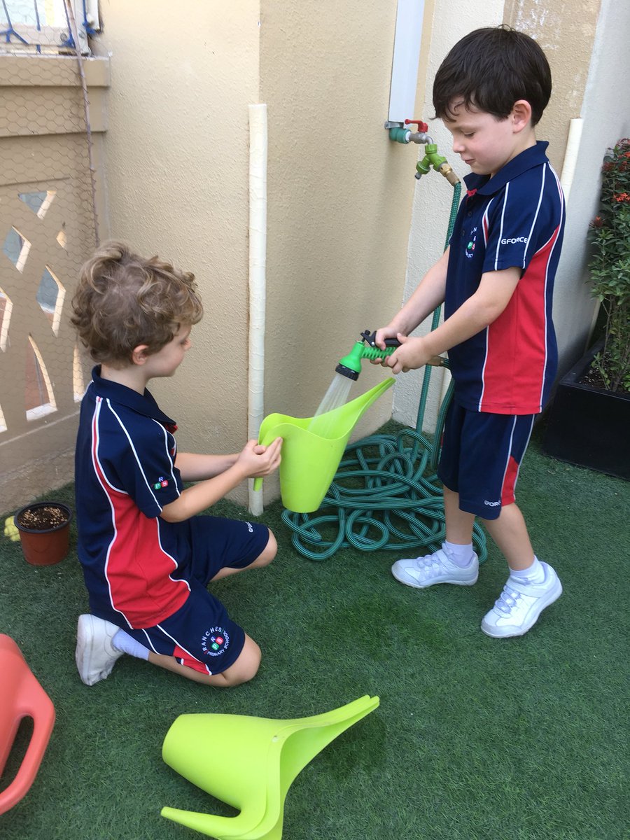 RPSDubai's tweet photo. Year One love working together in the Peace Garden. #sandyseeds https://t.co/sTW2XkZmus