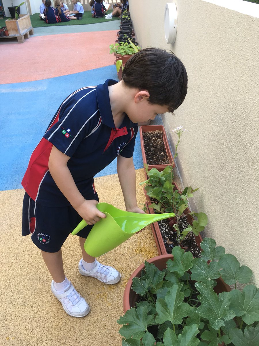 RPSDubai's tweet photo. Year One love working together in the Peace Garden. #sandyseeds https://t.co/sTW2XkZmus