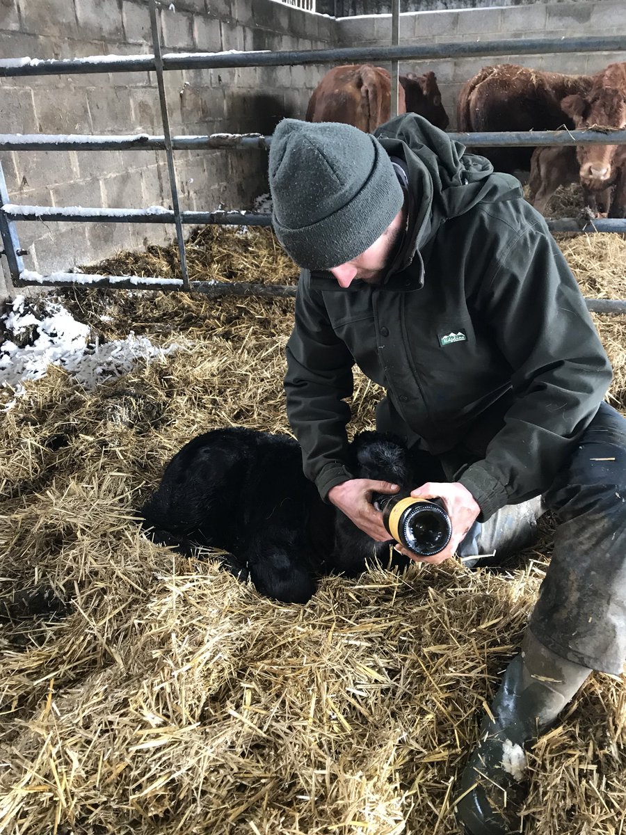 Just one of the 476,000 #PeopleInFarming doing a great job in all weathers all year round!!  <a href="/PudlicoteEd/">Ed Adams</a>