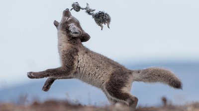 Android_Apps_18's tweet image. #InternationalDayOfHappiness
#يوم_السعاده_العالمي #FelizMartes #Sarkozy #39Indians
#فاكهه_تحبها_دايم 1 #빨간맛 #НиколяСаркози #SylviListhaug #Sudan
#UltimateDELETION #AmericanIdol #Bulls #LHHATL
Applink!!play.google.com/store/apps/det… …