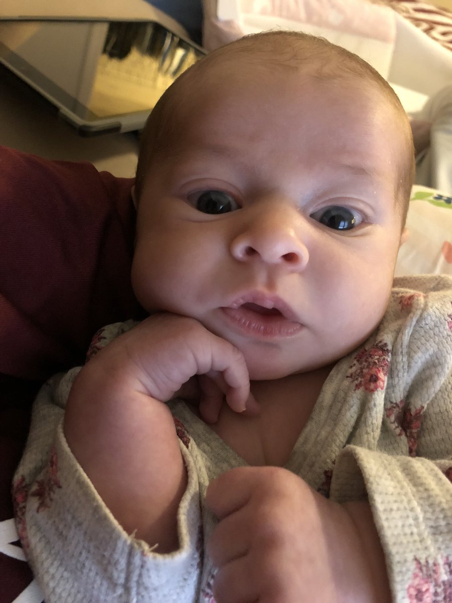 karlee_danielle's tweet photo. Is there such thing as being too obsessed with your child’s cuteness? Because I am extremely obsessed and I have no shame. Just look at her! 😍💕 #BabyOverload #FelicityJune https://t.co/w2j7xZARxD