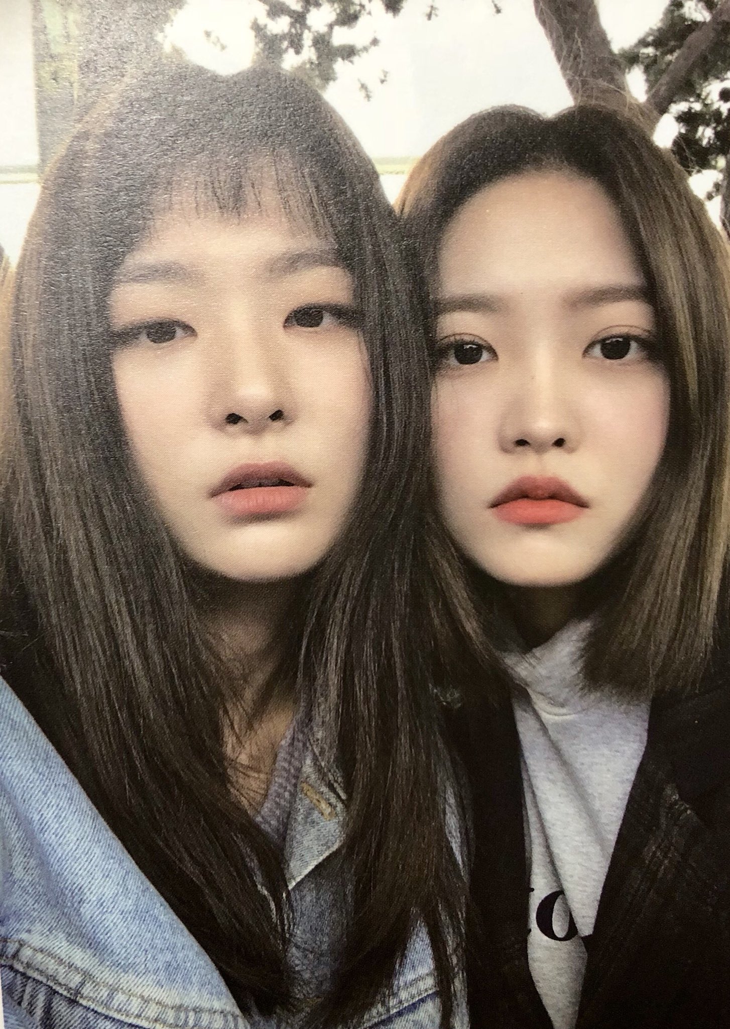 seulgi bencil ücretsiz indir