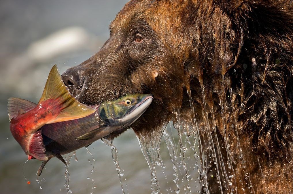 Android_Apps_18's tweet image. #InternationalDayOfHappiness
#يوم_السعاده_العالمي #FelizMartes #Sarkozy #39Indians
#فاكهه_تحبها_دايم 1 #빨간맛 #НиколяСаркози #SylviListhaug #Sudan
#UltimateDELETION #AmericanIdol #Bulls #LHHATL
Applink!!play.google.com/store/apps/det… …