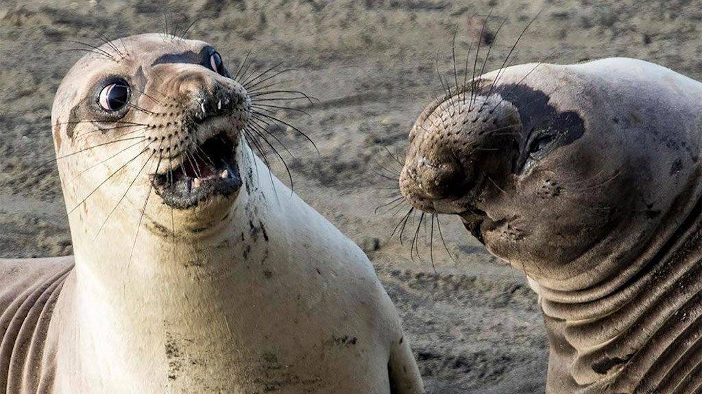 Android_Apps_18's tweet image. #InternationalDayOfHappiness
#يوم_السعاده_العالمي #FelizMartes #Sarkozy #39Indians
#فاكهه_تحبها_دايم 1 #빨간맛 #НиколяСаркози #SylviListhaug #Sudan
#UltimateDELETION #AmericanIdol #Bulls #LHHATL
Applink!!play.google.com/store/apps/det… …