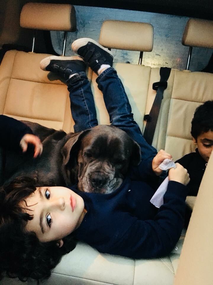 caninplus tweet picture