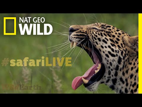 Android_Apps_18's tweet image. #InternationalDayOfHappiness
#يوم_السعاده_العالمي #FelizMartes #Sarkozy #39Indians
#فاكهه_تحبها_دايم 1 #빨간맛 #НиколяСаркози #SylviListhaug #Sudan
#UltimateDELETION #AmericanIdol #Bulls #LHHATL
Applink!!play.google.com/store/apps/det… …