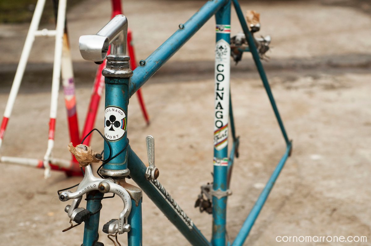 CornoMarrone's tweet photo. Anyone want custom built Colnago Sport? 

If yes just let us know!

cornomarrone,com

 #Colnago #Sport #Roadbike #Bike #bicycle #vintage #steel #italian #cornomarrone https://t.co/VI1KrnV9kH