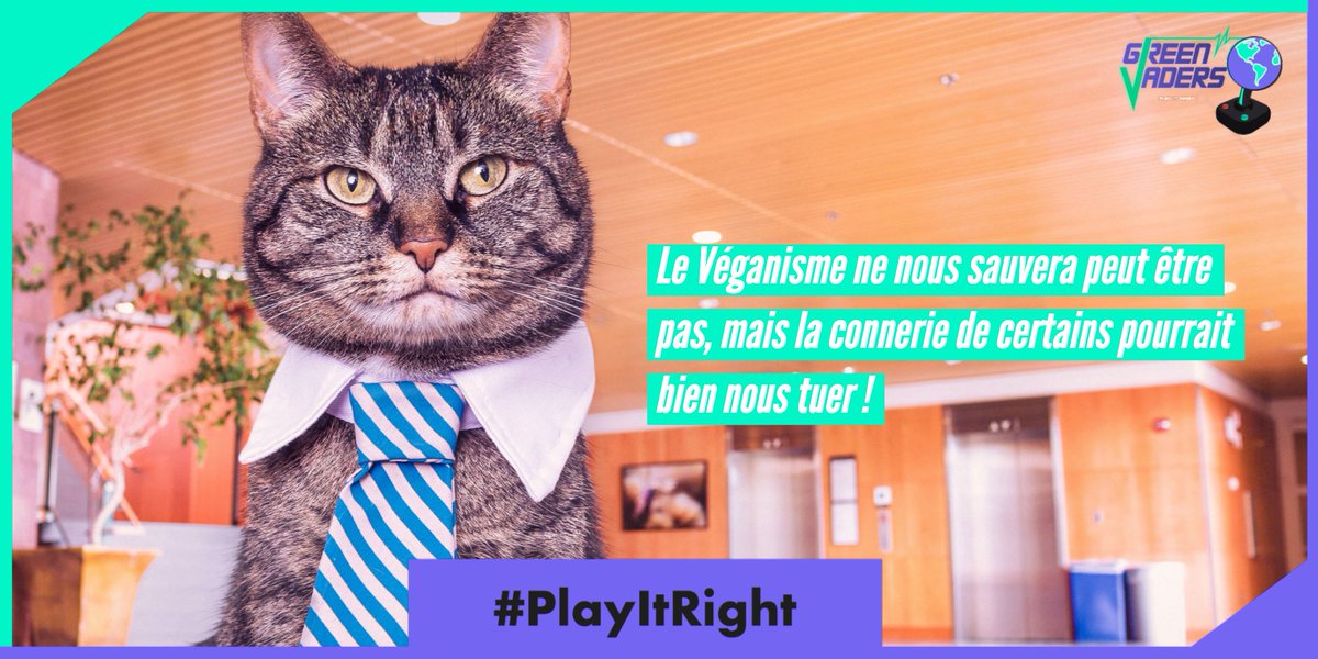GreenVaders's tweet photo. Ça fait 48h qu'on se retient... Merci @libe , nous on vote Le Chat même si il n'est pas #vegan ! 💚🐈 #PlayItRight 🕹✅🌎 https://t.co/x1ZA6DD7sD