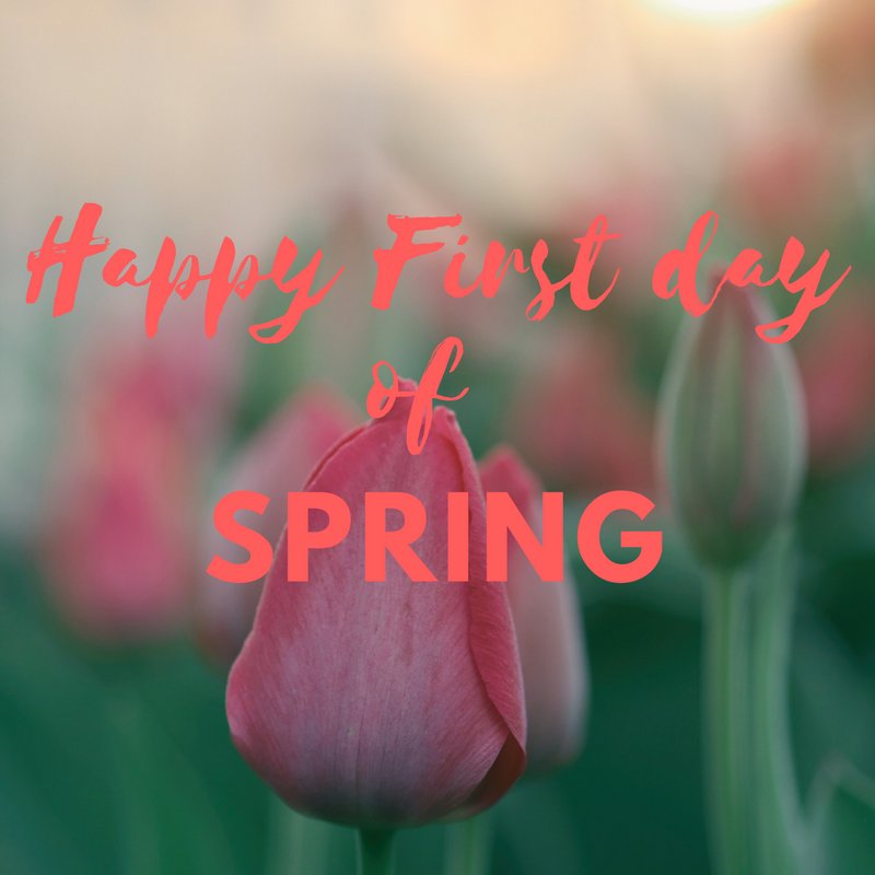 BCBirthServices's tweet photo. Happy #firstdayofspring. There are so many things I love about spring, but tulips are at the top of the list. What is your favorite thing about #spring? 

#flowers  #tulips #newbaby #doula #newlife #birth #childbirtheducation #boulder #longmont #loveland #naturalbirth #epidural https://t.co/EgFcrliut7