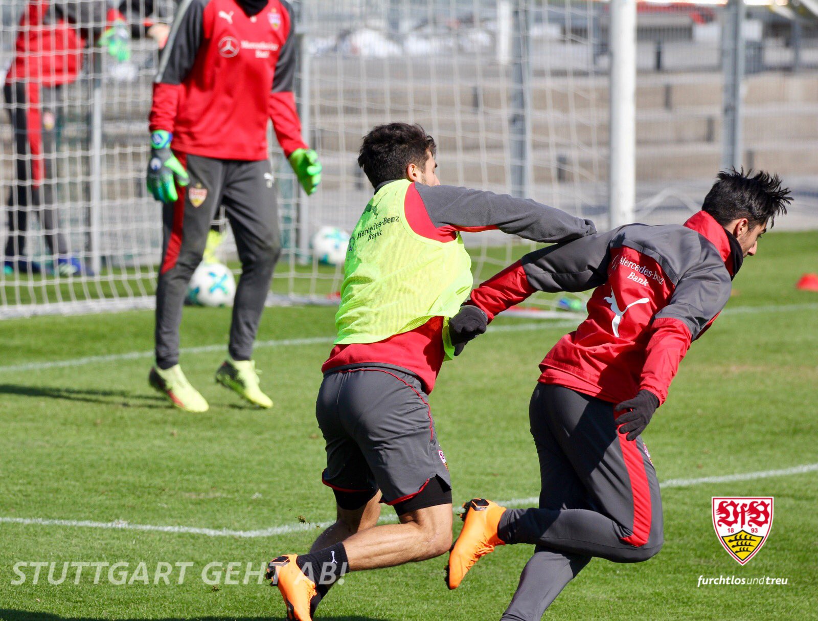 Tommy Vfb Stuttgart Tommy Vfb Stuttgart