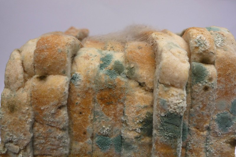 RealBread's tweet photo. 24 million slices of bread are wasted EVERY DAY in the UK. #maketoastnotwaste and join in the campaign to slice bread wastage today
https://t.co/uqppUyXXnS
#wastefood #surplusbread https://t.co/1JXiwWzAoO