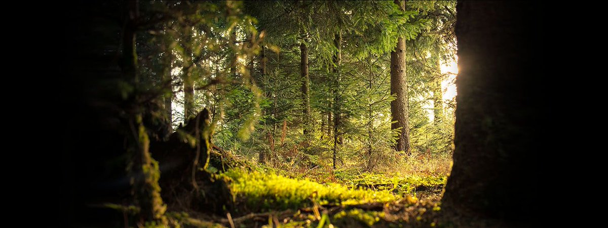 thinktheoblog's tweet image. NEW blog post today! 

Humanity's Fall and God's Redemption
[@samsykora1]

buff.ly/2G5klkH