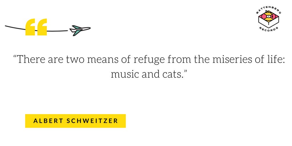 Morning #quote 🎶+ 🐱’s