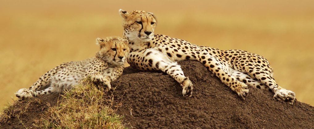 Android_Apps_18's tweet image. #InternationalDayOfHappiness
#يوم_السعاده_العالمي
#FelizMartes #MAFS #MehmetAltan #世界の片隅 #레드벨벳
#يوم_السعاده_العالمي #FelizMartes #Sarkozy #39Indians
#فاكهه_تحبها_دايم 1 #빨간맛 #НиколяСаркози #SylviListhaug #Sudan
#UltimateDELETION 
Applink!!play.google.com/store/apps/det…