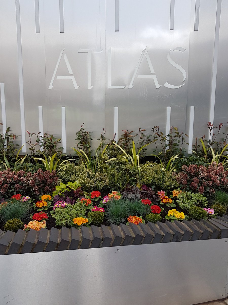 AtlasEC1's tweet image. Springtime planting at #TheAtlasBuilding as the sun finally appears! #AtLast #Shoreditch