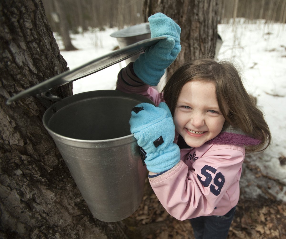 perfectwknds's tweet image. Happy #FirstDayOfSpring! Last chance to enjoy the sweet taste of #MapleFest @mcleanberryfarm this coming weekend!  
mcleanberryfarm.com/html/maplefest… 

Photo by Fred Thornhill #DiscoverON #ExperienceKN @pktourism