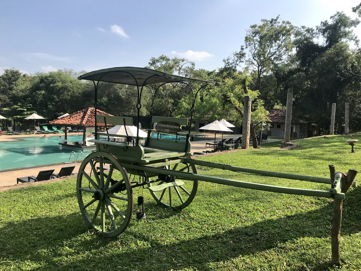 TravelFlute's tweet photo. RT @TravelSeeWrite: First impression of #SriLanka : it’s neat, clean and gorgeous with beautiful nature. #SriLankanAirlinesIndia #VisitSrilanka #ExploreSrilanka #ExploreColombo #Love4Travel #OutboundKonnections https://t.co/KJHRsYwnRb