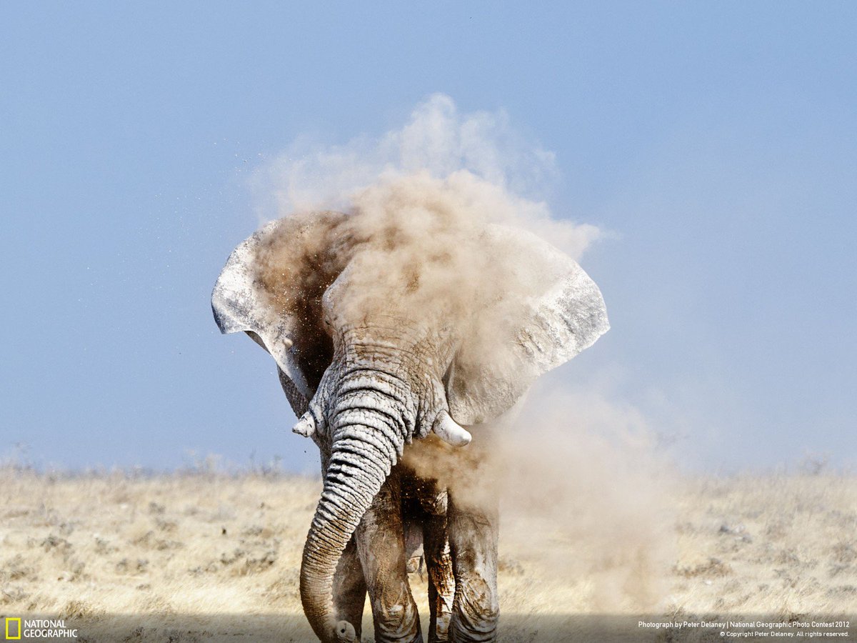 Android_Apps_18's tweet image. #InternationalDayOfHappiness
#يوم_السعاده_العالمي
#FelizMartes #MAFS #MehmetAltan #世界の片隅 #레드벨벳
#يوم_السعاده_العالمي #FelizMartes #Sarkozy #39Indians
#فاكهه_تحبها_دايم 1 #빨간맛 #НиколяСаркози #SylviListhaug #Sudan
#UltimateDELETION 
Applink!!play.google.com/store/apps/det… …