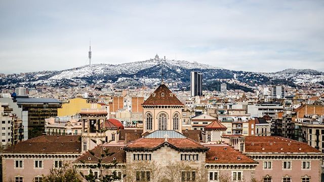 UniBarcelona's tweet photo. I d'aquesta manera tant excepcional ❄️, avui donem la benvinguda a la #Primavera. 🌸 https://t.co/jHO9hI94Oq https://t.co/qbR9EeSKCv